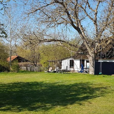 Ferienhaus Kunterbunt II 希茨阿克 外观 照片