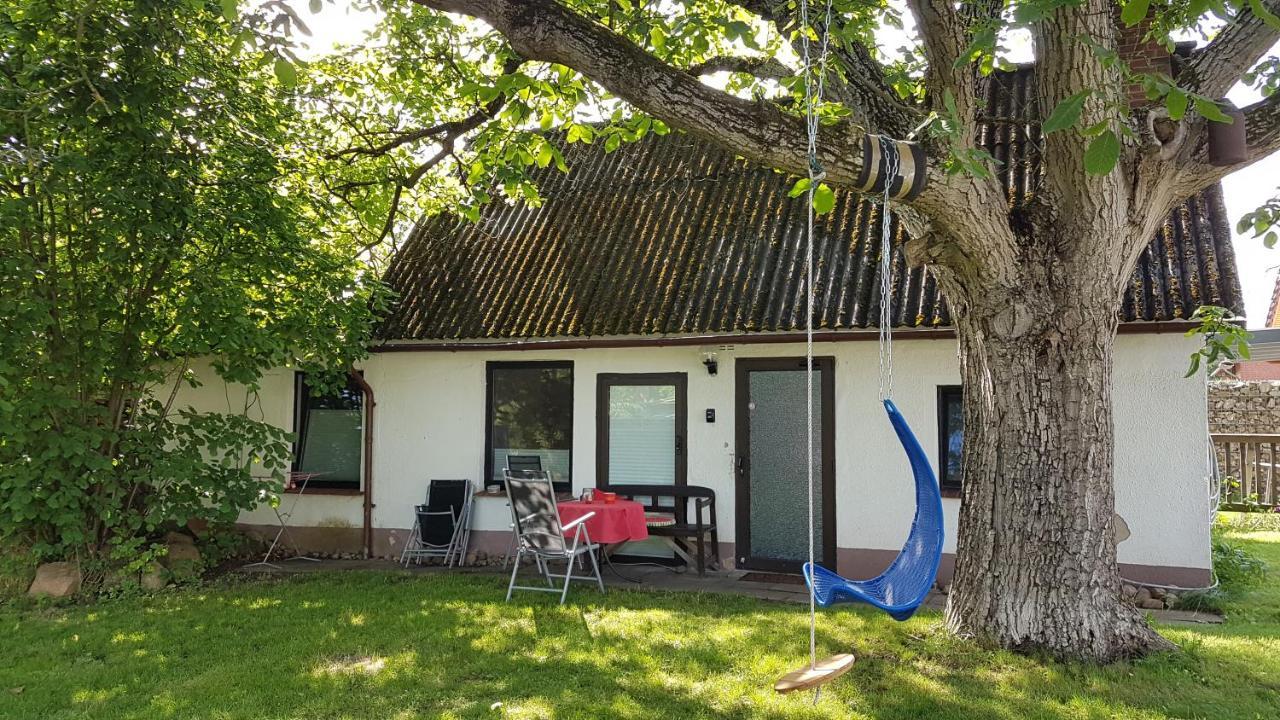 Ferienhaus Kunterbunt II 希茨阿克 外观 照片