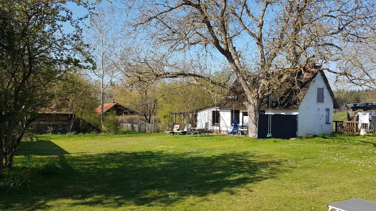 Ferienhaus Kunterbunt II 希茨阿克 外观 照片